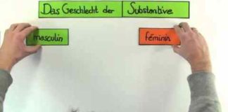 Как правильно определить род существительного в немецком языке: основные правила